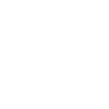 icon-white-transparent100